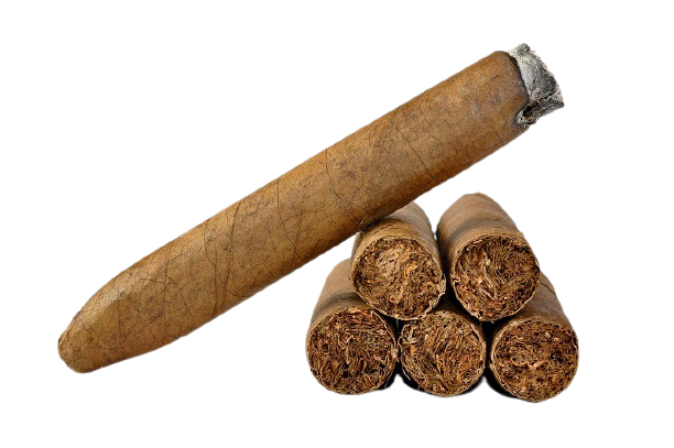 cigar